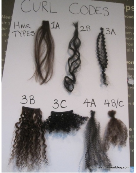 Mixed Hair Types Chart