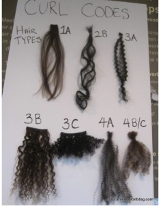 Yet another hair type chart found on Pinterest.